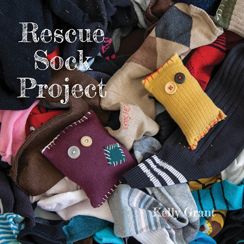 Rescue Sock Project book Cover