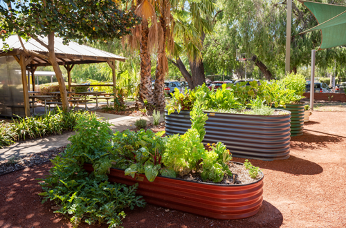 Garden bed filled with fresh herbs, blossoming flowers and ready-to-pick vegetables