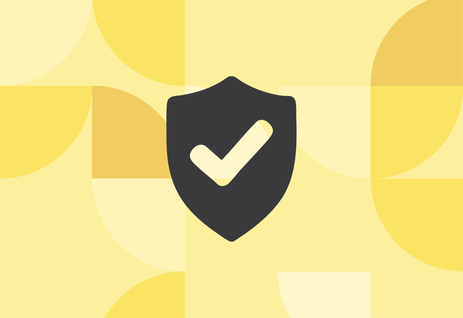 Privacy icon